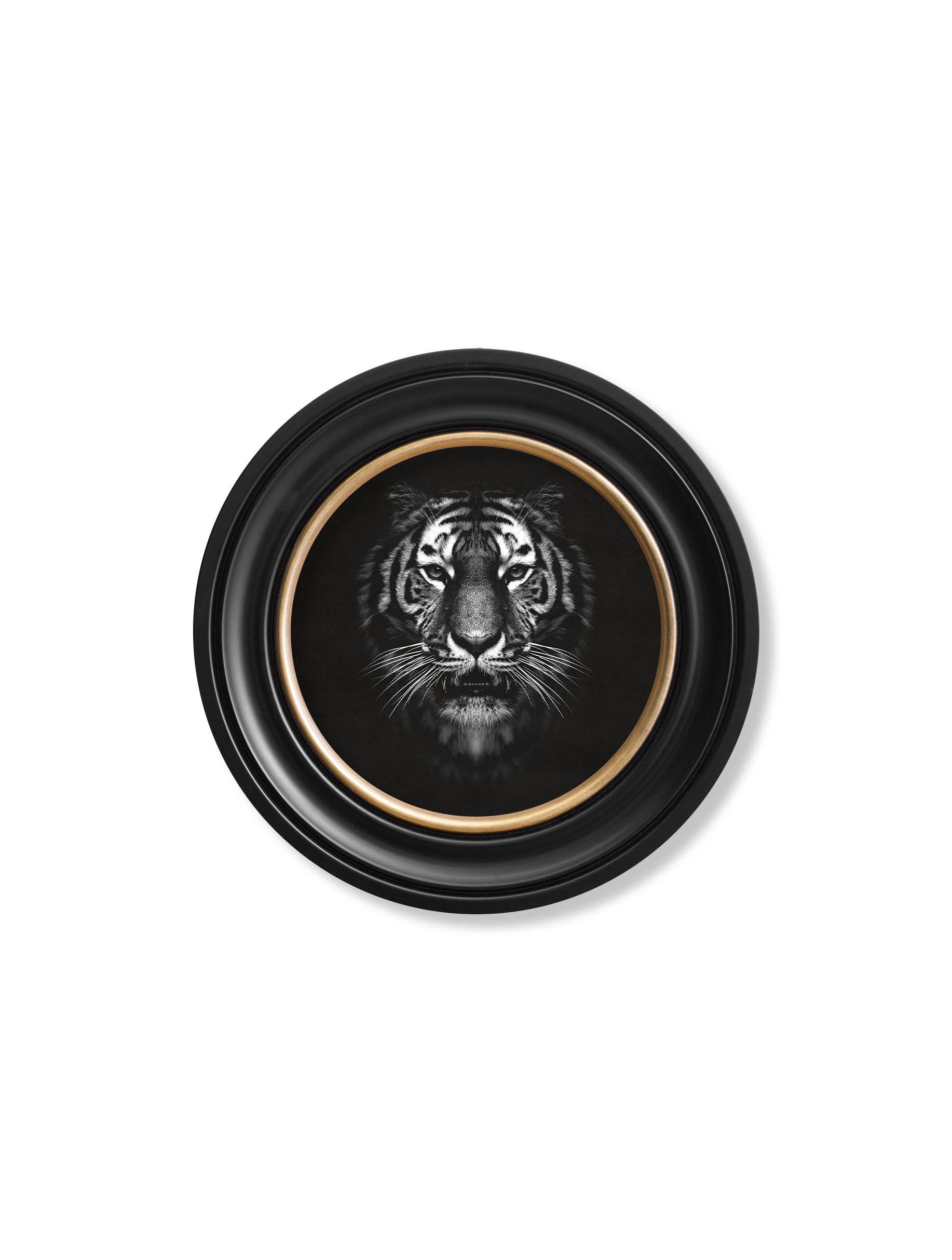 Order circular framed monochrome tiger photography print