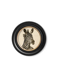 Order late 19th century dark zebra round framed print free UK delivery
