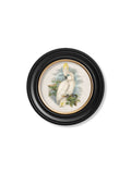 Order remastered 19th-century bird art Blythe Living
