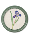 Order traditional 18th-century floral prints from Blythe Living