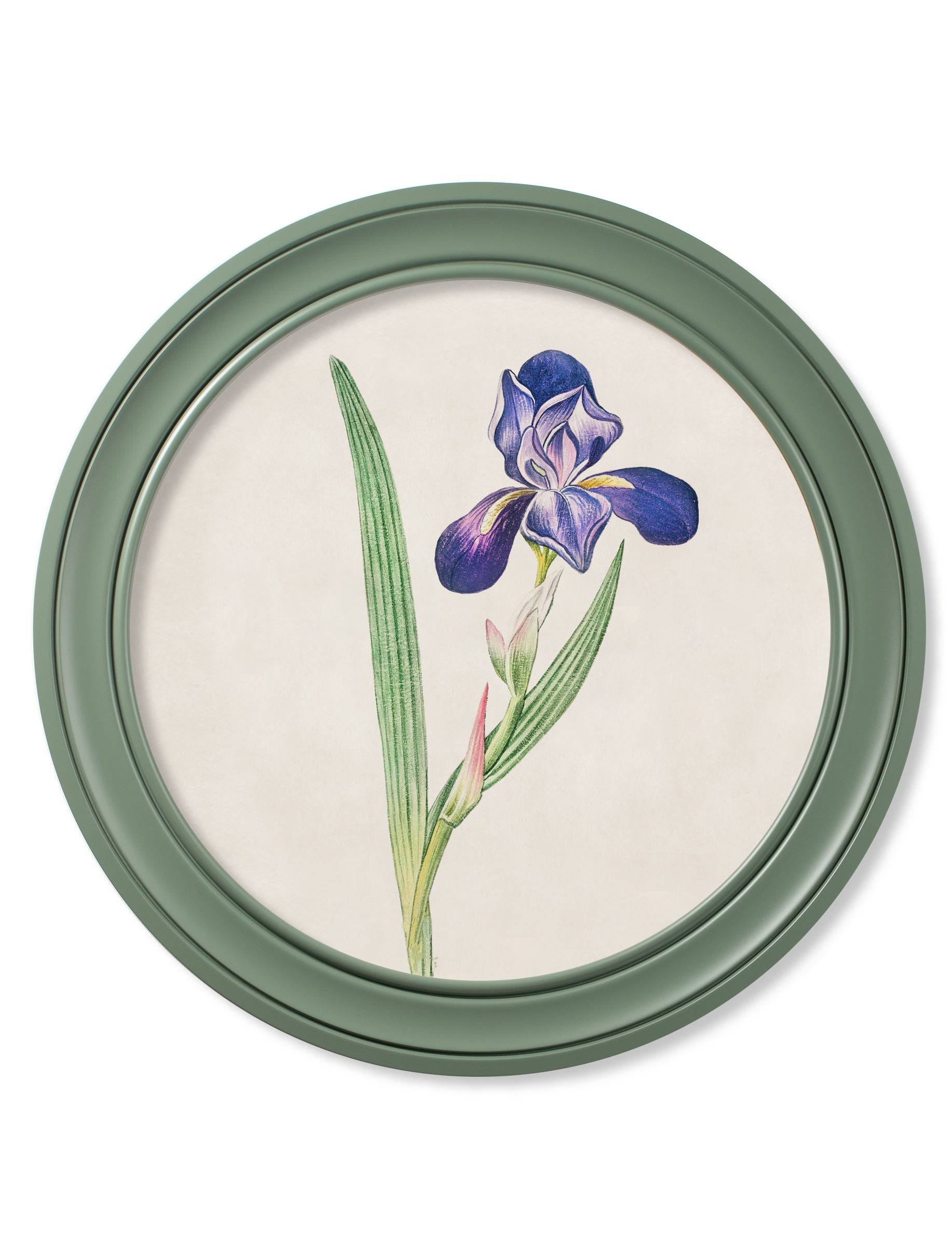 Order traditional 18th-century floral prints from Blythe Living