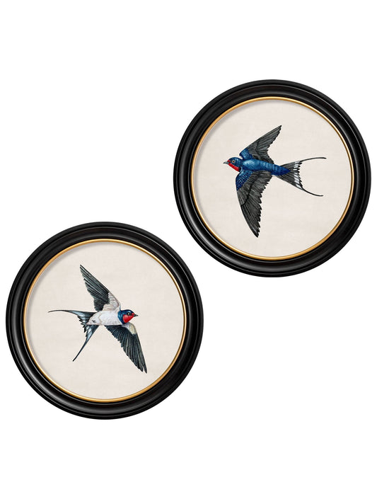 c.1875 Swallows in Round Frames - Blythe Living