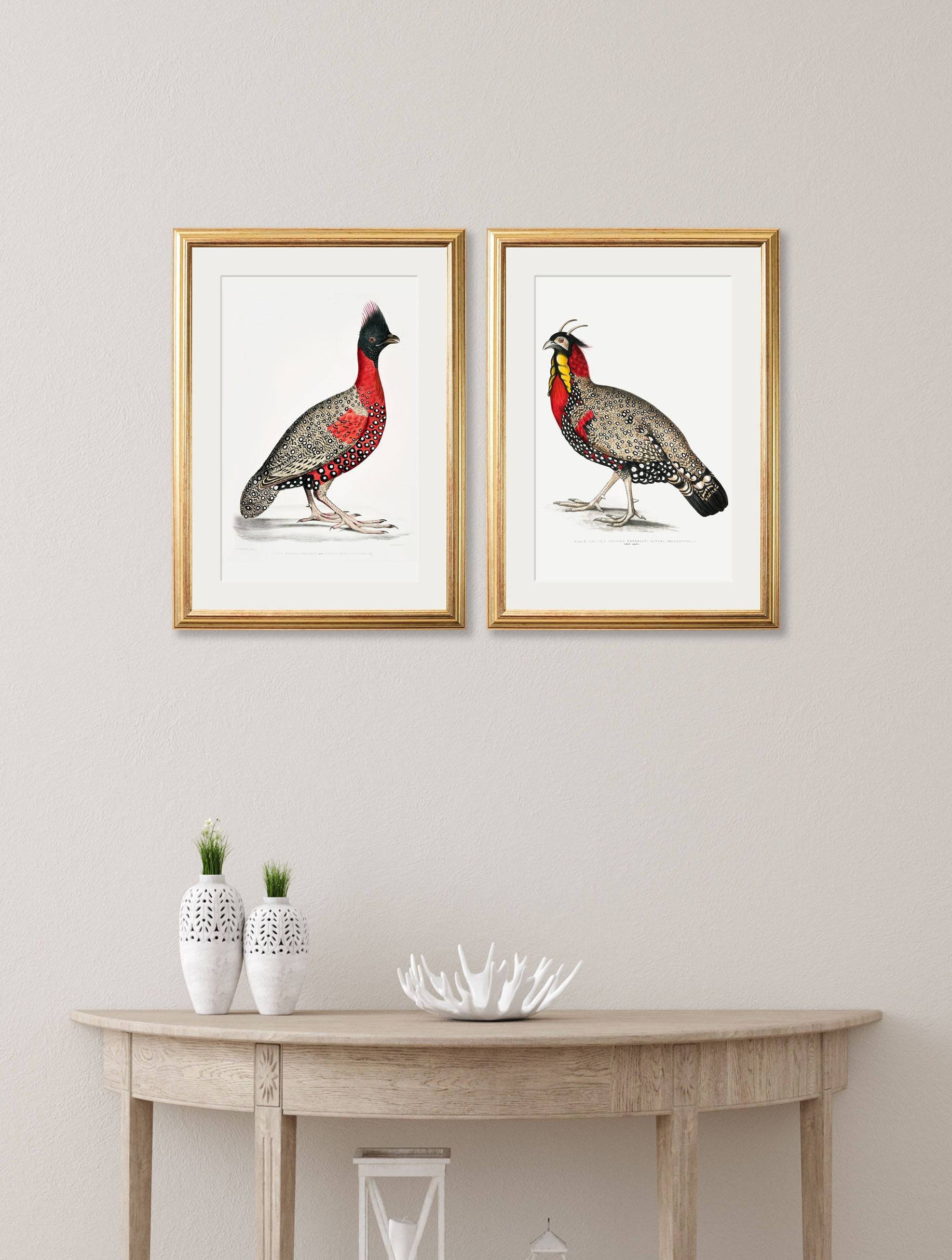 c.1800's Black Headed Pheasants - Blythe Living