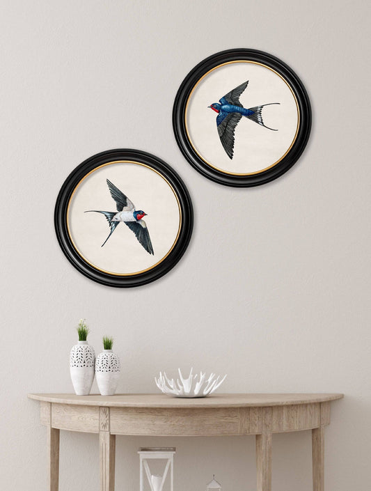 c.1875 Swallows in Round Frames - Blythe Living