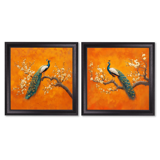 Peacocks In Saffron Garden - Black Hurstwood Square Frame - Blythe Living