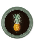 c.1812 Pineapple Study (Black) - Green Round Frame - Blythe Living