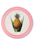 c.1843 Pineapple Plant - Round Frame Pink - Blythe Living