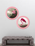 c.1838 Audubon's Flamingo in Pink Frame - Blythe Living