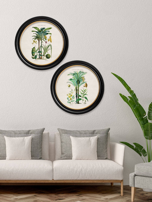 c.1877 Tropical Plants Used as Food and Clothing - Round Frame - Blythe Living