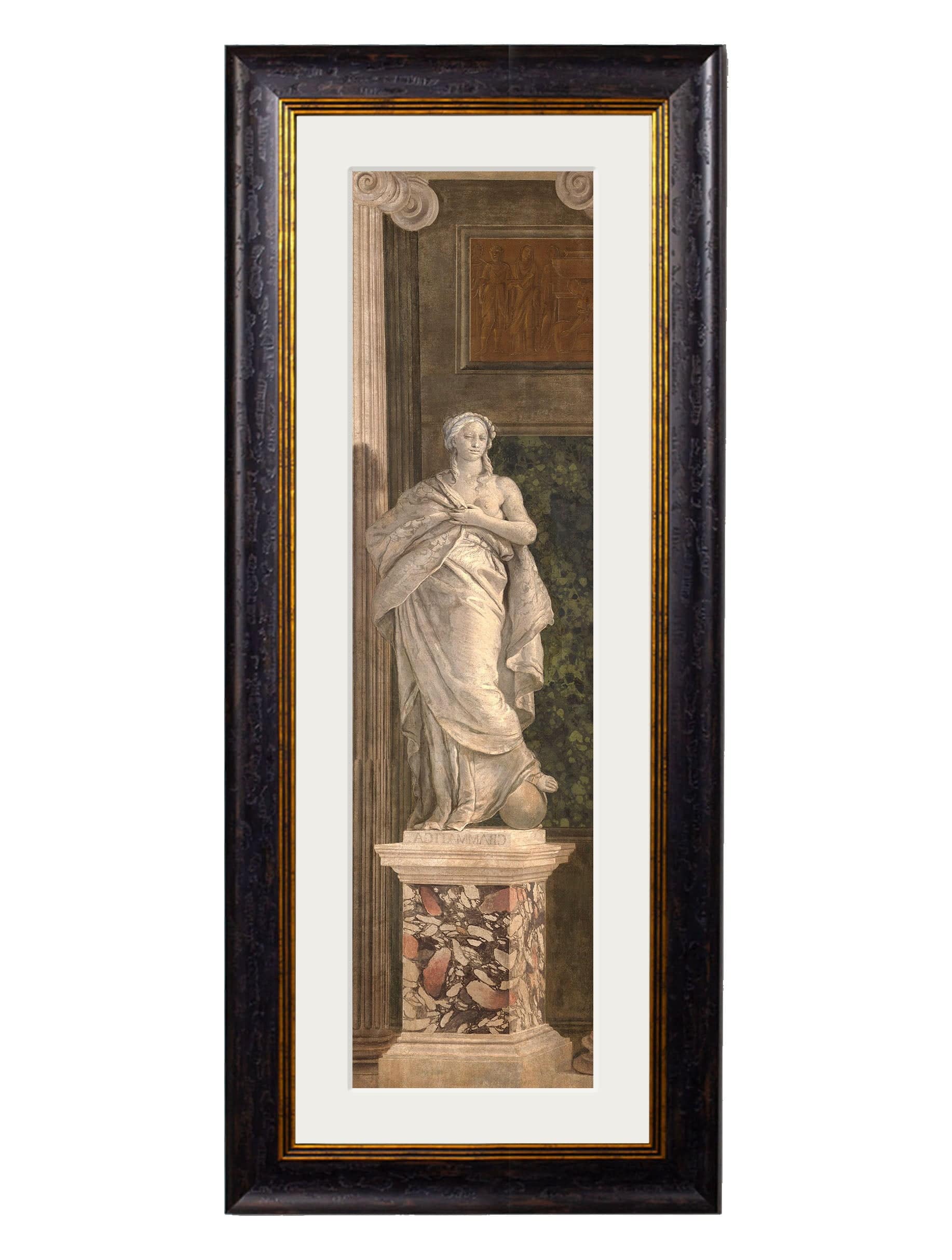 Premium circular academic illustration framed prints for sale online