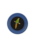 Premium circular tropical bird illustration framed prints for sale