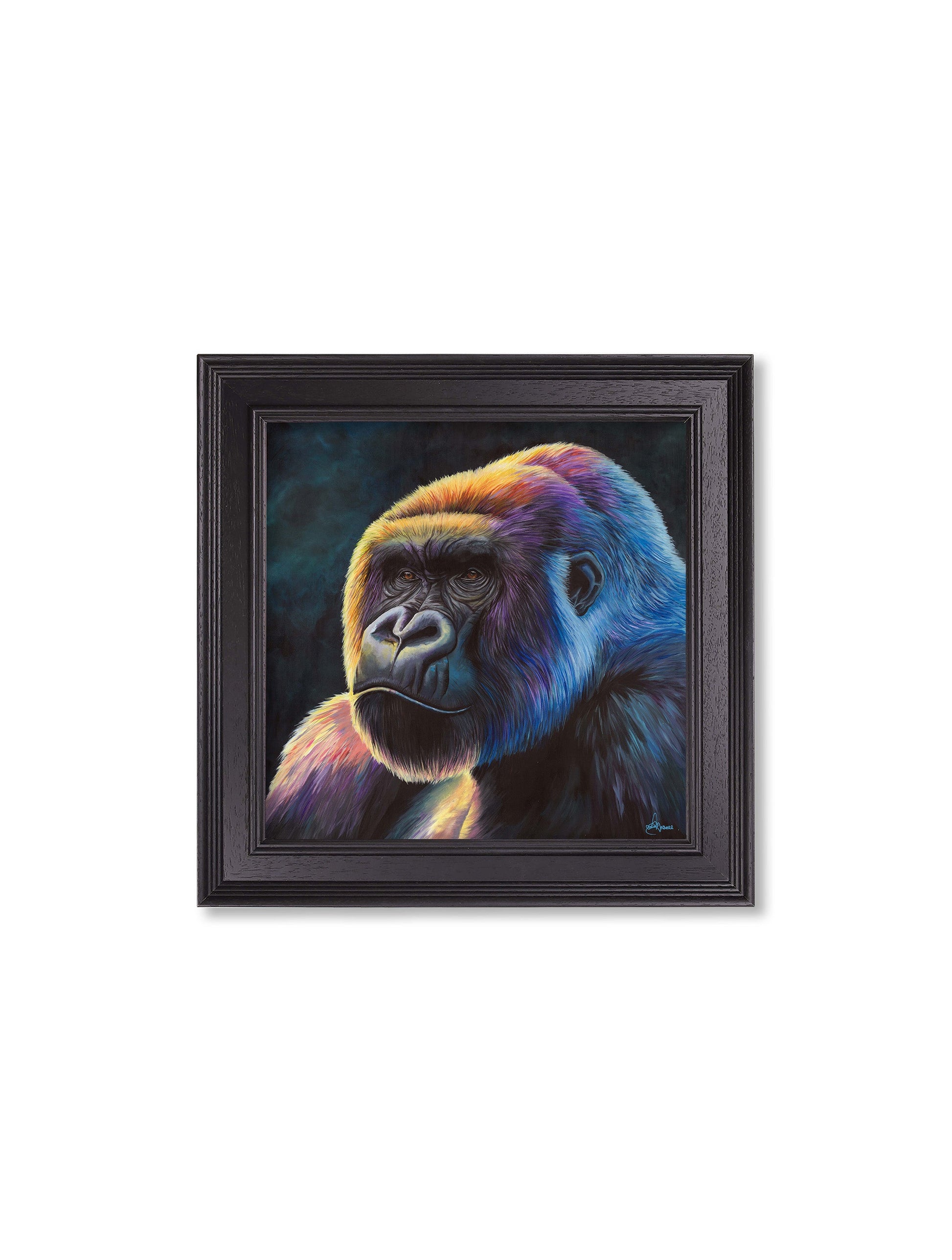 Premium square modern gallery gorilla portrait framed prints for sale