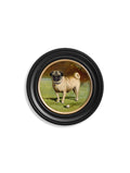 c.1881 Dogs - Round Frame - Blythe Living