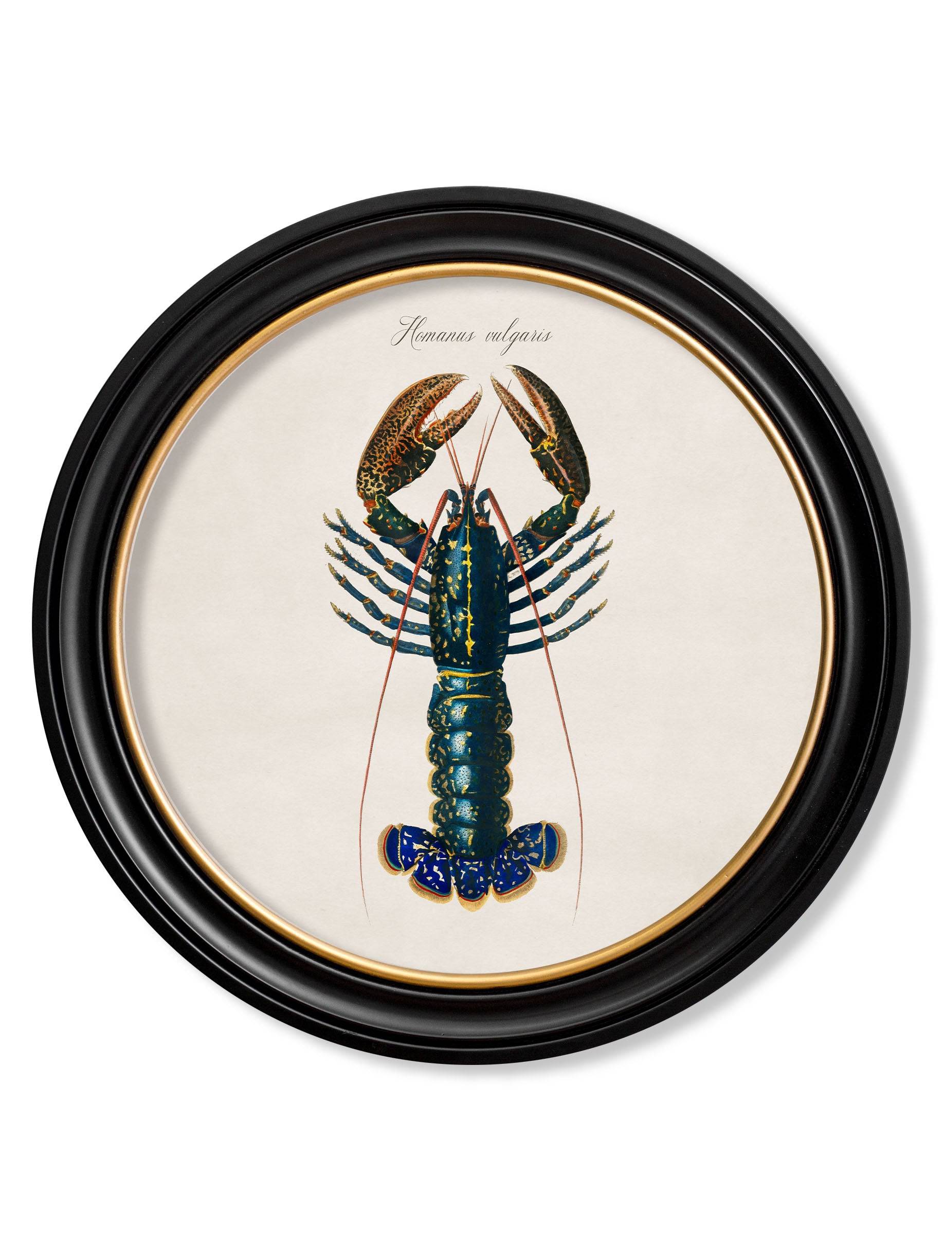 Purchase Digitally Restored 1876 Lobster Round Print with Archival Finish