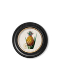 Purchase Digitally Restored 19th Century Pineapple Print with Archival Finish