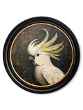 Purchase High-Quality Tropical Cockatoo Prints in Black Round Frames
