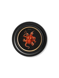Purchase Set of 4 Victorian Marine Biology Prints in Modern Black Round Frames