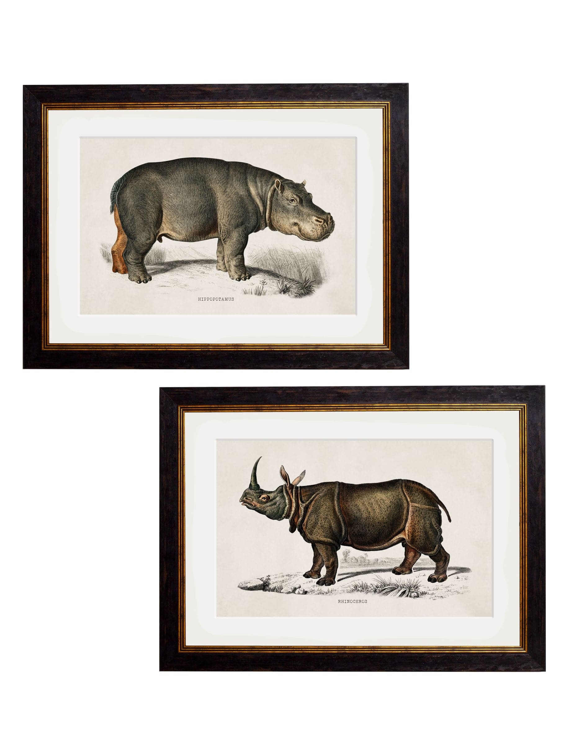 c.1846 Rhino & Hippo - Blythe Living