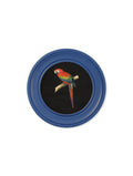 C.1884 Collection of Macaws in Round Frames Blue - Blythe Living