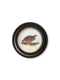 c.1837's British Game Birds - Round - Blythe Living