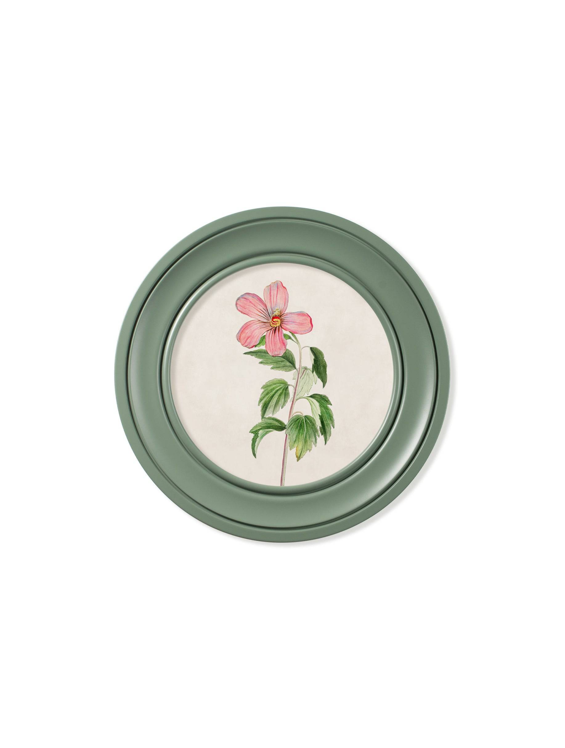 c.1780 Flowering Plants Round Frame Green - Blythe Living