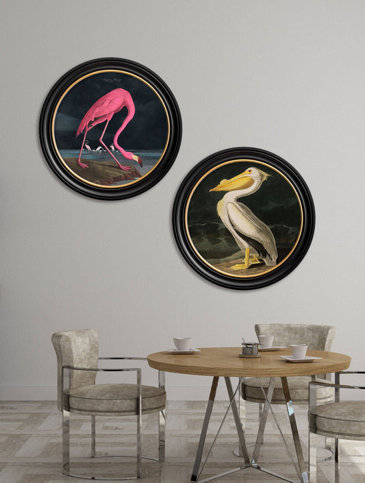 c.1838 Audubon's Flamingo - Dark - Round Frame - Blythe Living