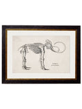 Secure Hand-Finished Victorian Medical Prints with Minimal Carbon Footprint