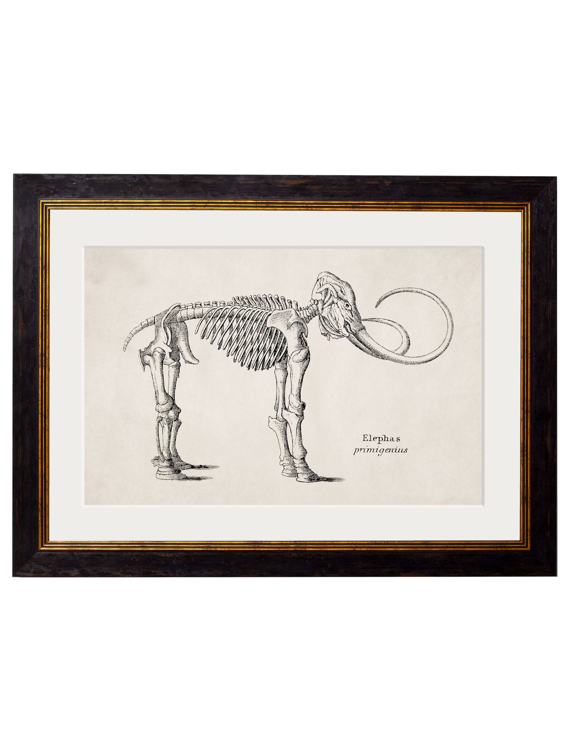 Secure Hand-Finished Victorian Medical Prints with Minimal Carbon Footprint
