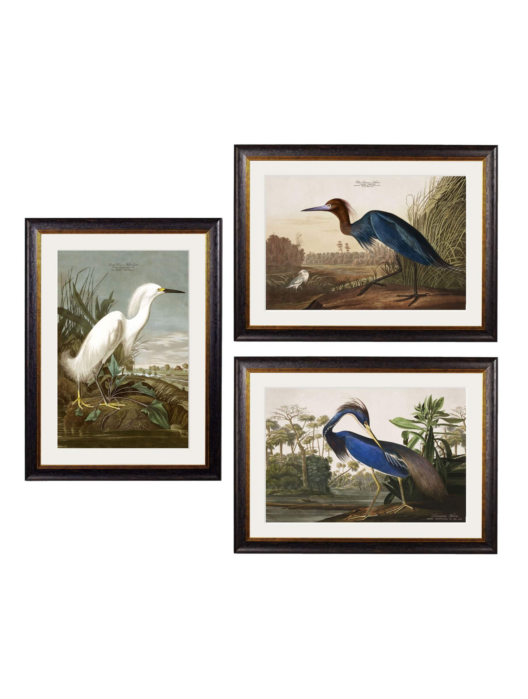 Secure Hand-Finished c.1838 Audubon Heron Collection for Heritage Decor