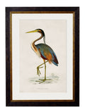 Secure Hand-Finished c.1850s British Wading Birds Art with Minimal Carbon Footprint