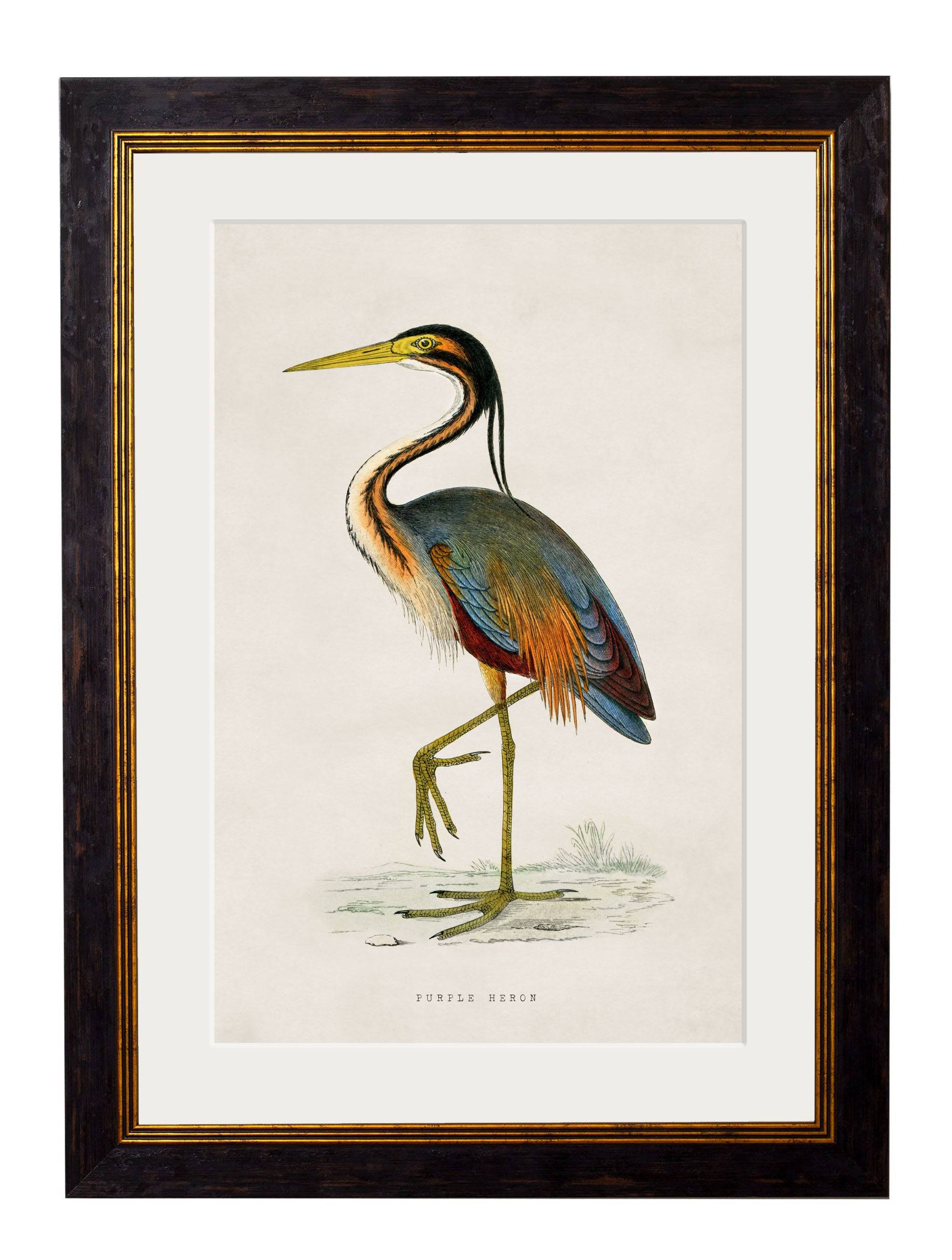 Secure Hand-Finished c.1850s British Wading Birds Art with Minimal Carbon Footprint