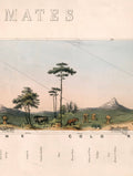 Secure Hand-Finished c.1852 Natural History Illustration with Minimal Carbon Footprint