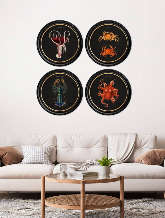 C.1876 Marine Animals in Round Frames - Black - Blythe Living