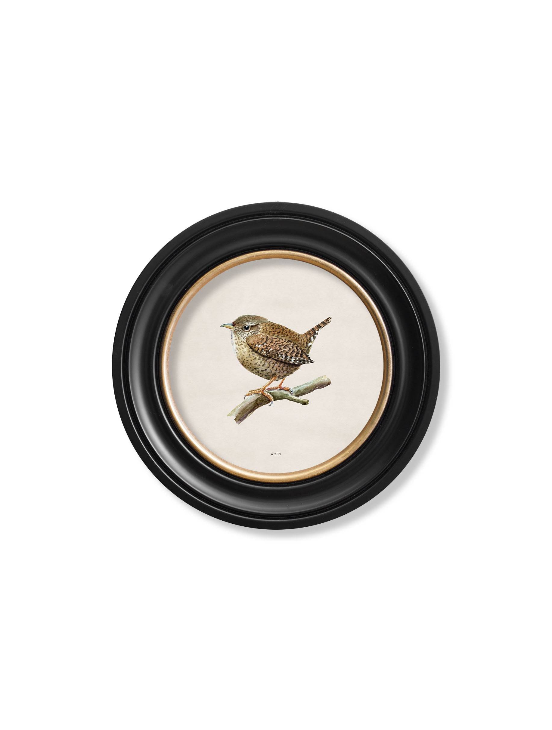 Shop 19th-century inspired wren illustration round wall decor