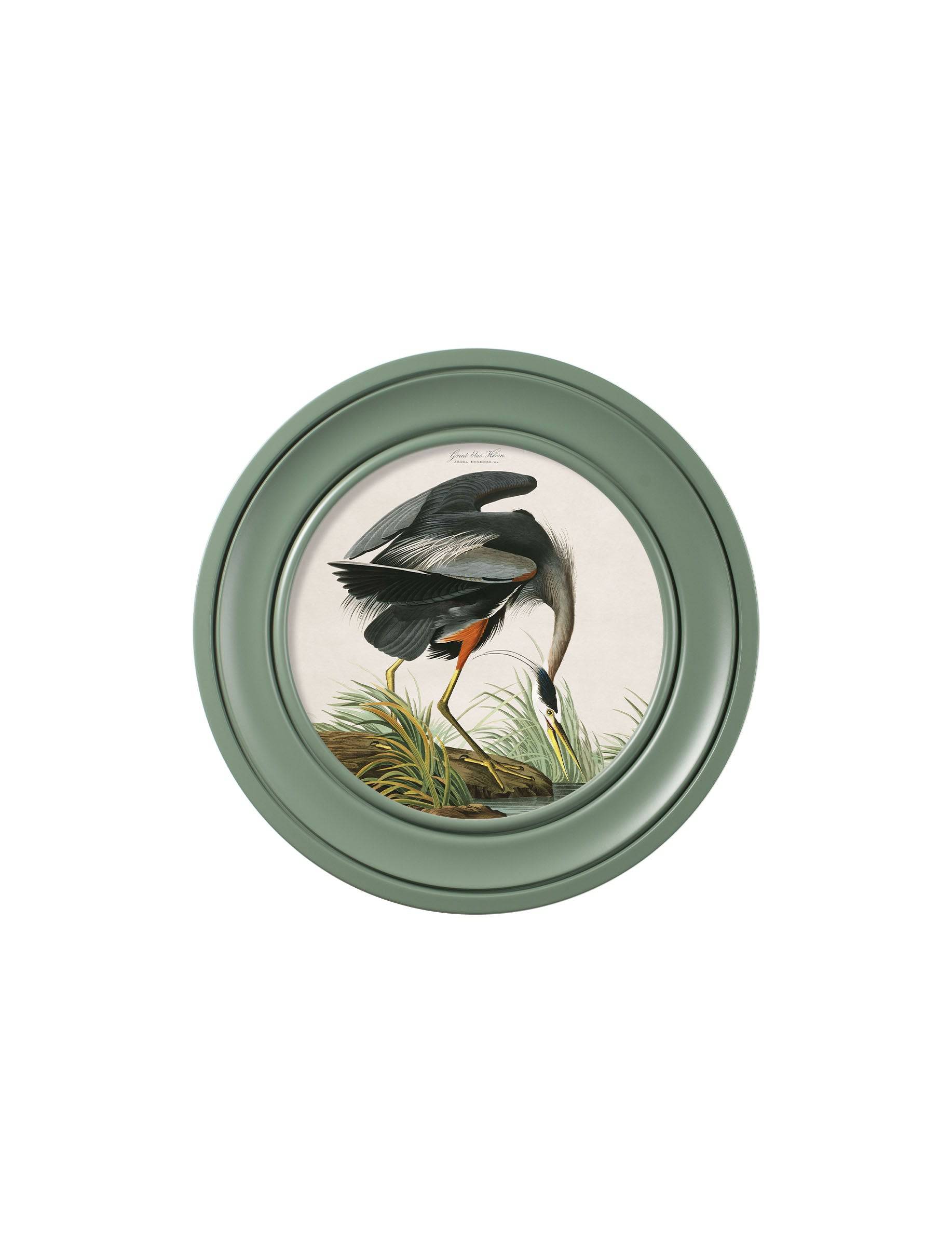 Shop Audubon Great Blue Heron archival print green round frame
