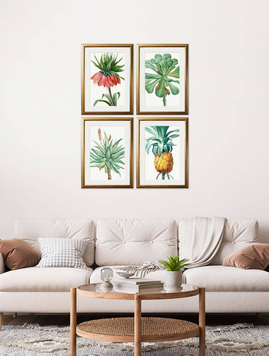 Shop Botanical Nature Illustrations Set of 4 Prints gold framed UK
