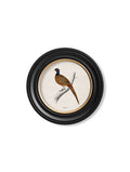 Shop British Made c.1809 British Birds Round Wall Art for Country For Homes