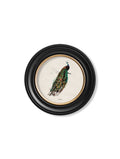 Shop British Made c.1809 British Birds Round Wall Art for Country Homes