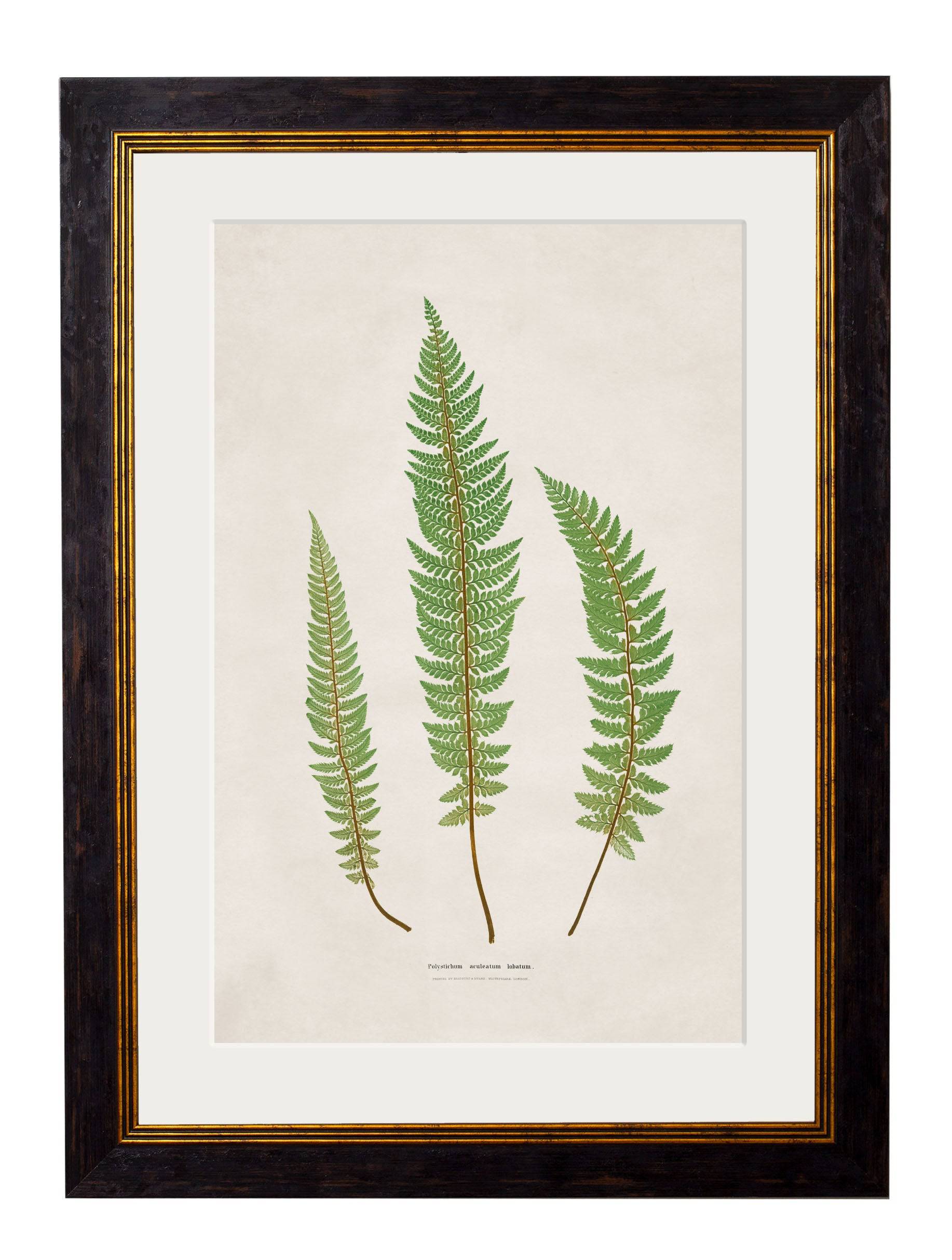 Shop British Made c.1831 Wood Fern Wall Art Hand-Assembled in UK