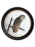 Shop British Made c.1838 Audubon Bird Round Wall Art Hand-Assembled in UK