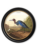 Shop British Made c.1838 Blue Heron Round Wall Art Hand-Assembled in UK
