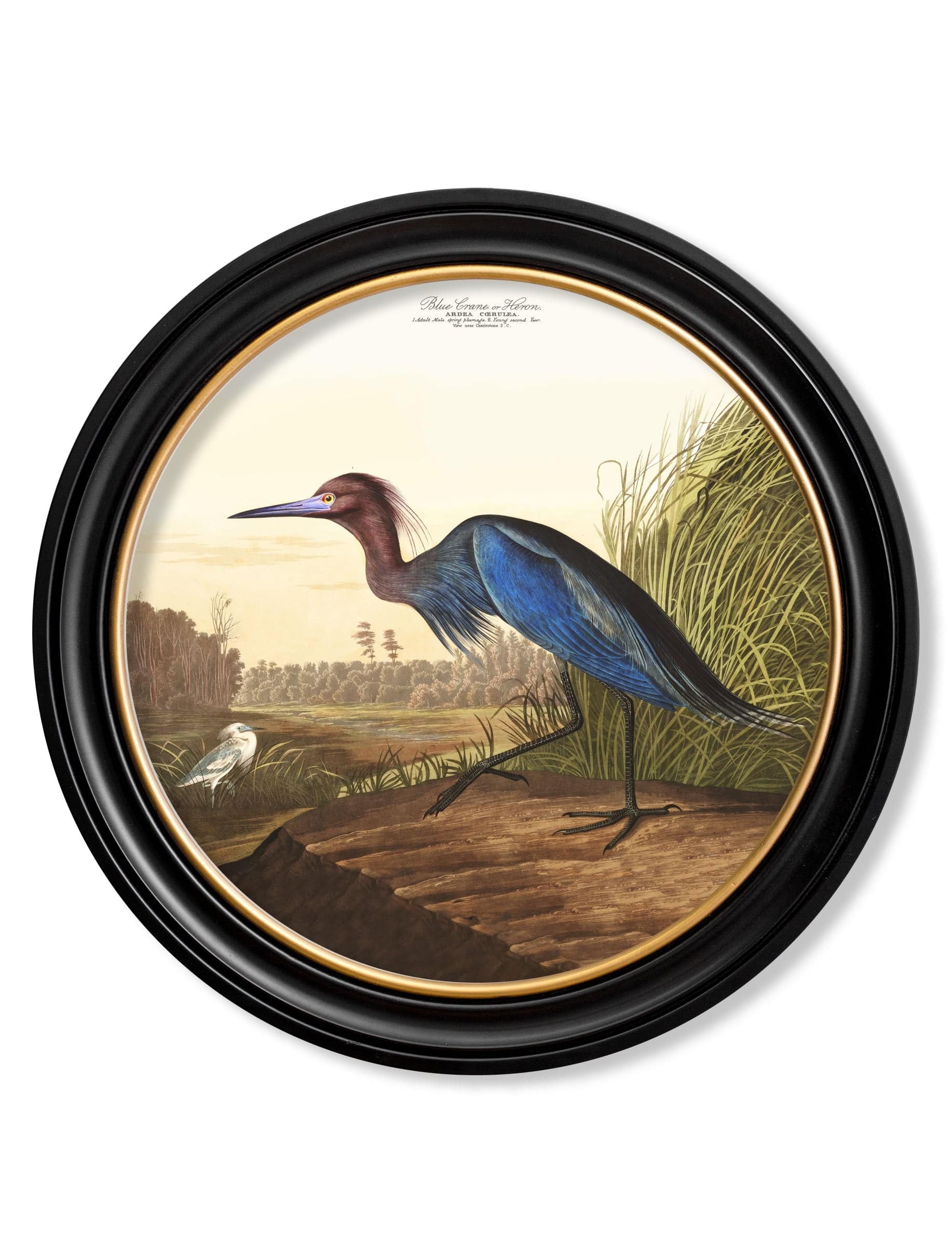 Shop British Made c.1838 Blue Heron Round Wall Art Hand-Assembled in UK