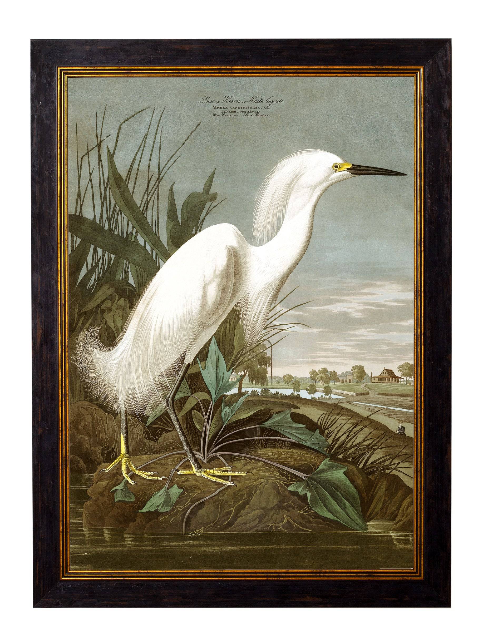 Shop British Made c.1838 Blue Heron Wall Art Hand-Assembled in UK