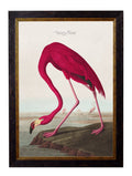 Shop British Made c.1838 Roseate Spoonbill Wall Art Hand-Assembled in UK