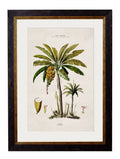Shop British Made c.1843 Palm Tree Collection Hand-Assembled in UK