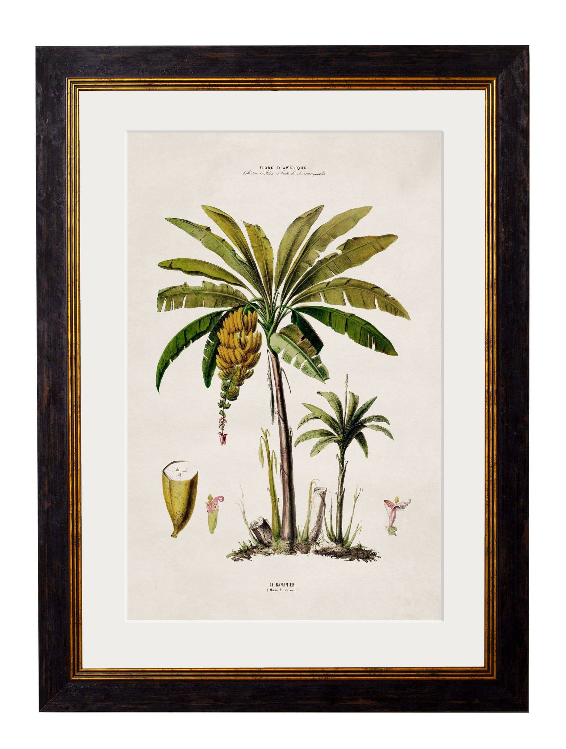 Shop British Made c.1843 Palm Tree Collection Hand-Assembled in UK