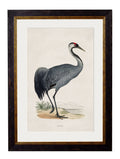 Shop British Made c.1850s Crane Wall Art Hand-Assembled in UK