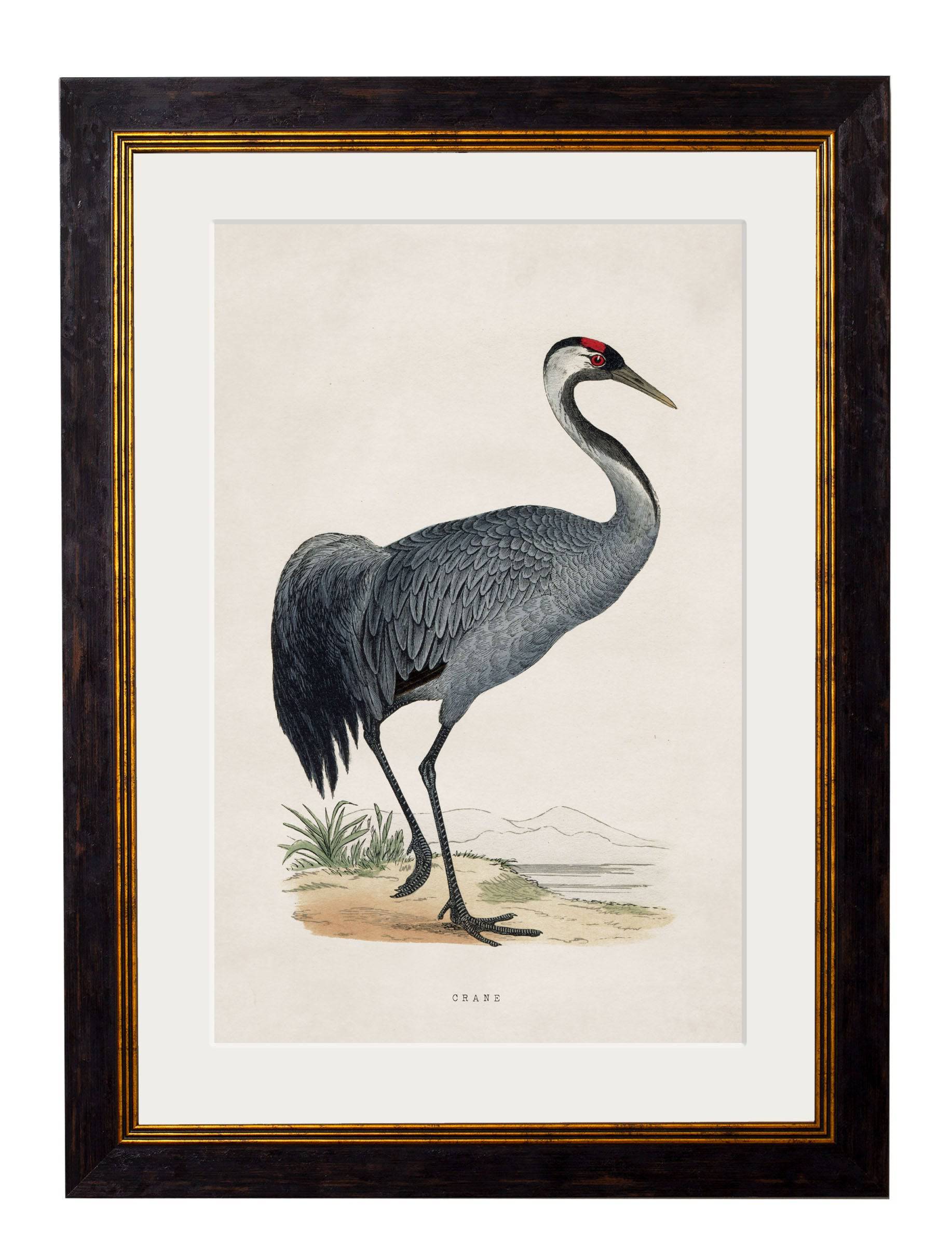 Shop British Made c.1850s Crane Wall Art Hand-Assembled in UK