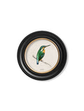 Shop British Made c.1870 Kingfisher Round Wall Art Hand-Assembled in UK