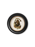 Shop British Made c.1910 Chimpanzee Round Wall Art Hand-Assembled in UK